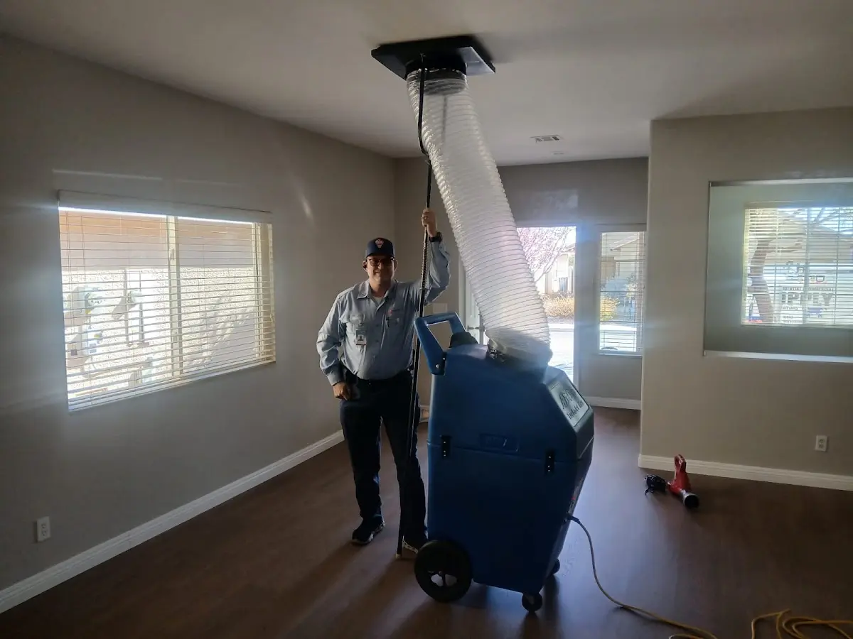 Professional Dryer Vent Cleaning work inside a Park Forest home